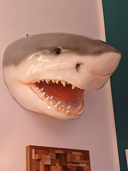 Statua Decorativa - Squalo