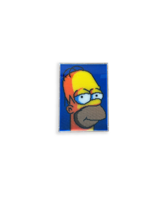 Opera d'arte contemporanea - Homer
