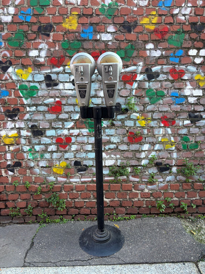 Parchimetro Duncan Miller Meter - 50'