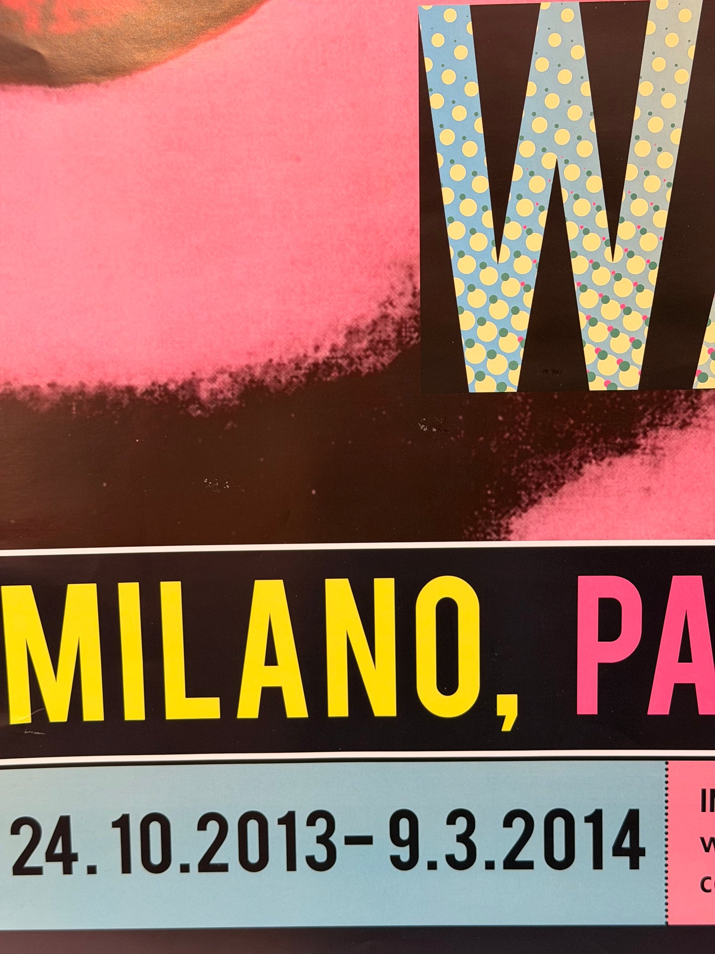 Manifesto Pubblicitario - 2013'